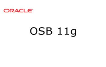 OSB 11g Training