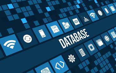 DataBase Developer Training